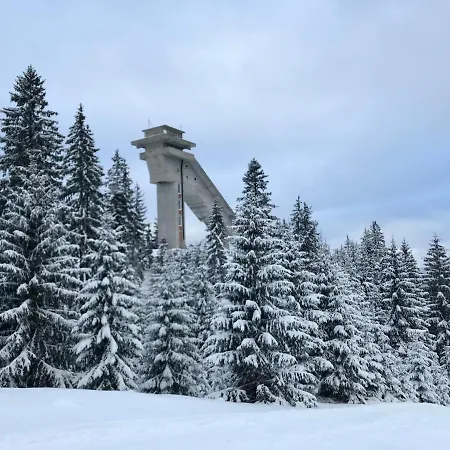 Franka - 블라시츠