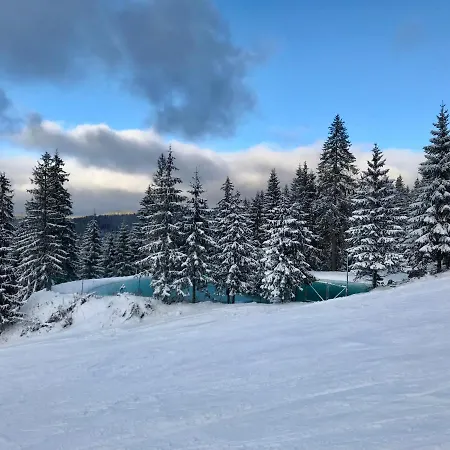 Alojamento de Turismo Selvagem Franka - *